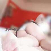 ヒメ日記 2025/04/25 07:19 投稿 あやせ ぽっちゃりデリヘル倶楽部