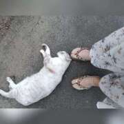 ヒメ日記 2025/05/04 00:09 投稿 あやせ ぽっちゃりデリヘル倶楽部