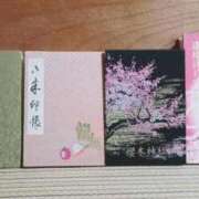 ヒメ日記 2025/10/24 11:49 投稿 あやせ ぽっちゃりデリヘル倶楽部