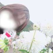 ヒメ日記 2025/11/10 16:49 投稿 あやせ ぽっちゃりデリヘル倶楽部