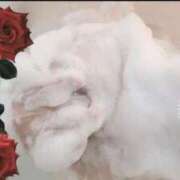 ヒメ日記 2025/11/19 17:09 投稿 あやせ ぽっちゃりデリヘル倶楽部