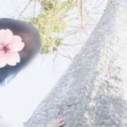 あやせ いちごより甘くしていい❓ ぽっちゃりデリヘル倶楽部