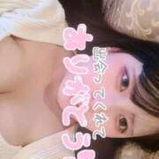 ヒメ日記 2024/12/29 14:29 投稿 るる 久喜鷲宮ちゃんこ