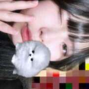 ヒメ日記 2025/01/11 14:09 投稿 るる 久喜鷲宮ちゃんこ