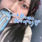 ヒメ日記 2025/02/11 13:11 投稿 るる 久喜鷲宮ちゃんこ