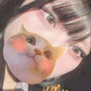 ヒメ日記 2025/02/28 20:49 投稿 るる 久喜鷲宮ちゃんこ