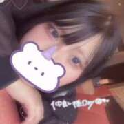 ヒメ日記 2025/04/25 17:31 投稿 るる 久喜鷲宮ちゃんこ