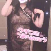 ヒメ日記 2025/05/02 19:31 投稿 るる 久喜鷲宮ちゃんこ