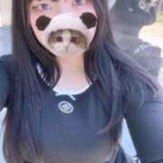 ヒメ日記 2025/05/03 11:21 投稿 るる 久喜鷲宮ちゃんこ