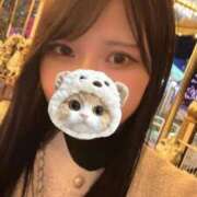 ヒメ日記 2025/11/14 11:21 投稿 るる 久喜鷲宮ちゃんこ