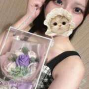 ヒメ日記 2025/11/26 08:11 投稿 るる 久喜鷲宮ちゃんこ