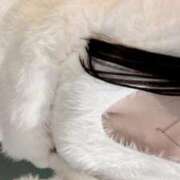 ヒメ日記 2025/12/24 14:21 投稿 るる 久喜鷲宮ちゃんこ