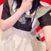 ヒメ日記 2025/03/19 15:55 投稿 白羽萌音(しろはもね) 九州熟女　八代店