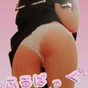 ヒメ日記 2025/03/20 07:45 投稿 白羽萌音(しろはもね) 九州熟女　八代店