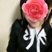 ヒメ日記 2025/12/29 11:05 投稿 白羽萌音(しろはもね) 九州熟女　八代店