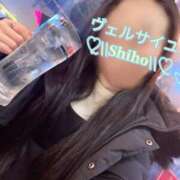 ヒメ日記 2025/04/02 23:19 投稿 しほ Versailles