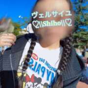 ヒメ日記 2025/04/16 07:49 投稿 しほ Versailles