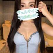 ヒメ日記 2025/04/25 23:16 投稿 しほ Versailles