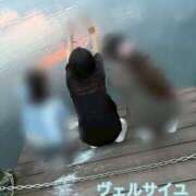 ヒメ日記 2025/06/26 12:51 投稿 しほ Versailles