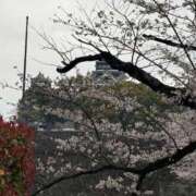 ゆいな 🌸お知らせ🌸 マリン千葉店