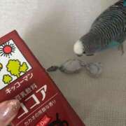 ヒメ日記 2025/04/23 19:50 投稿 ゆうら ラグジュアリースパ 札幌ガーデンクォーツ