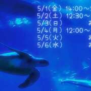 ヒメ日記 2026/04/29 12:55 投稿 はづき Fairy～フェアリー～(神栖)