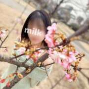 ヒメ日記 2026/02/15 17:00 投稿 みるく 千葉泡洗体デラックスエステ