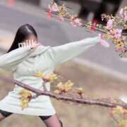 ヒメ日記 2026/02/22 11:58 投稿 みるく 千葉泡洗体デラックスエステ