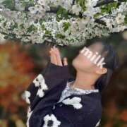 ヒメ日記 2026/03/29 12:16 投稿 みるく 千葉泡洗体デラックスエステ