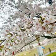 ヒメ日記 2025/04/13 21:07 投稿 みゆき ごほうびSPA仙台店