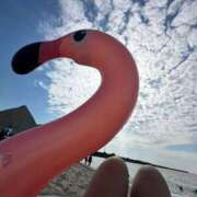 ヒメ日記 2025/07/09 12:37 投稿 みゆき ごほうびSPA仙台店