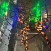 ヒメ日記 2025/10/13 23:27 投稿 みゆき ごほうびSPA仙台店