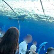 ヒメ日記 2025/10/29 11:27 投稿 みゆき ごほうびSPA仙台店