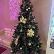 ヒメ日記 2025/11/26 12:27 投稿 みゆき ごほうびSPA仙台店