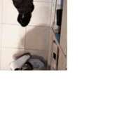 ヒメ日記 2025/01/27 14:09 投稿 千野（ちの） 丸妻 錦糸町店