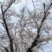 ヒメ日記 2025/04/14 20:05 投稿 りこ 山梨　風俗　デリヘル　 『ラブ＆ピース学園』