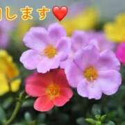 ヒメ日記 2024/12/10 16:03 投稿 板野とも 禁断のメンズエステR-18堺・南大阪店