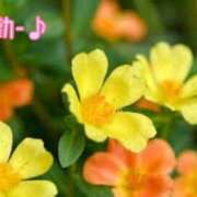 ヒメ日記 2024/12/10 23:51 投稿 板野とも 禁断のメンズエステR-18堺・南大阪店