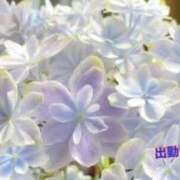 ヒメ日記 2024/12/20 15:06 投稿 板野とも 禁断のメンズエステR-18堺・南大阪店