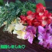 ヒメ日記 2025/01/09 01:48 投稿 板野とも 禁断のメンズエステR-18堺・南大阪店