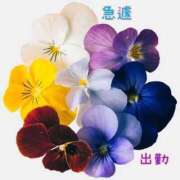 ヒメ日記 2025/01/09 20:03 投稿 板野とも 禁断のメンズエステR-18堺・南大阪店