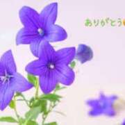 ヒメ日記 2025/01/10 01:51 投稿 板野とも 禁断のメンズエステR-18堺・南大阪店