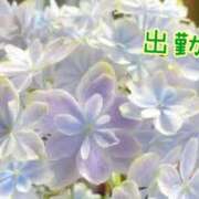 ヒメ日記 2025/01/12 19:06 投稿 板野とも 禁断のメンズエステR-18堺・南大阪店