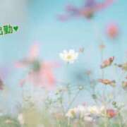 ヒメ日記 2025/01/20 12:03 投稿 板野とも 禁断のメンズエステR-18堺・南大阪店