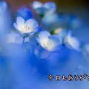 ヒメ日記 2025/01/20 21:51 投稿 板野とも 禁断のメンズエステR-18堺・南大阪店