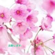 ヒメ日記 2025/01/21 15:03 投稿 板野とも 禁断のメンズエステR-18堺・南大阪店