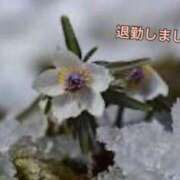 ヒメ日記 2025/01/21 23:51 投稿 板野とも 禁断のメンズエステR-18堺・南大阪店