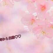 ヒメ日記 2025/01/22 16:03 投稿 板野とも 禁断のメンズエステR-18堺・南大阪店