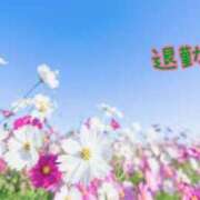 ヒメ日記 2025/01/23 00:57 投稿 板野とも 禁断のメンズエステR-18堺・南大阪店