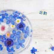 ヒメ日記 2025/01/24 14:33 投稿 板野とも 禁断のメンズエステR-18堺・南大阪店